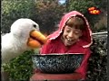 Barney And Friends May I Help You Tiny TCC 1996 Repeat