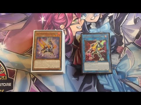 Yu-Gi-Oh New February 2023 Format Locals 1st Place Deck Profile Salamangreat!
