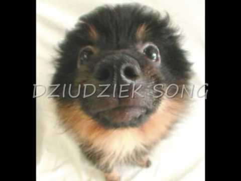 dziudziek song