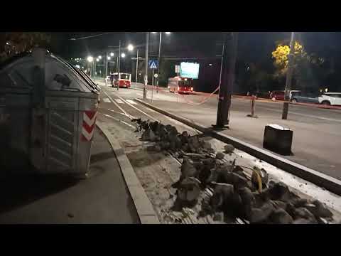 Radovi na samoj okretnici Banovo Brdo Tramvajske linije 13 i 12 idu skraćenom trasom