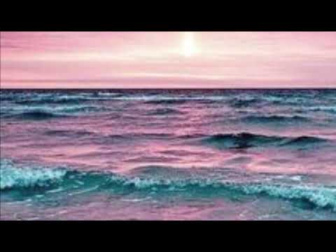 Elior x eaup - Cruisiń