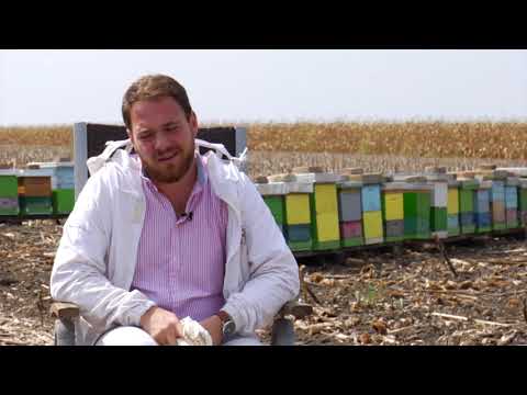 Reč struke ep. 204 18.09.2018. - Problemi pčelara u Srbiji