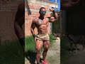 Muscle worship true muscle brown