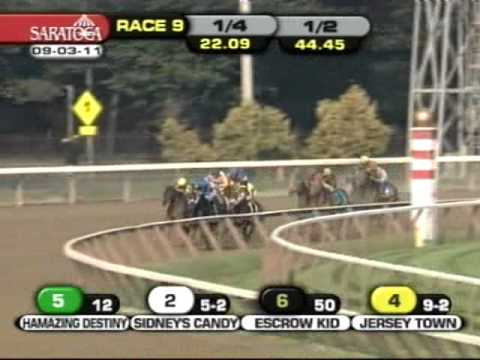 2011 Forego Stakes