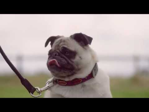 GILSONS - VARIAS QUEIXAS (REMIX MALIFOO, CAZT & VIDEO EDIT DVJ RICARDO BRANCO)