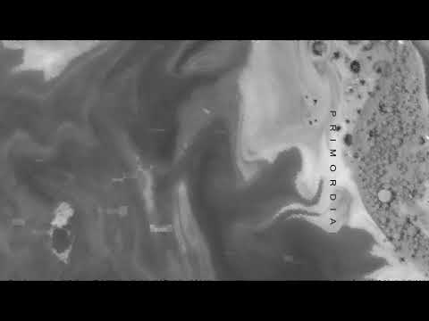 Olympus Lenticular - Primordial (Visualizer)