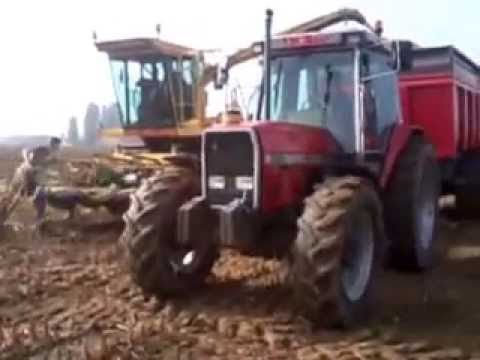 landb. Ollevier & Soenen: mais hakselen 2014