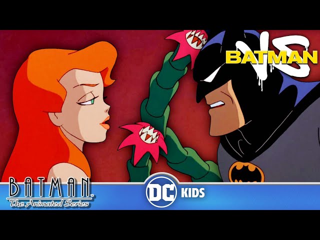 Vídeo relacionado con Lindo Beso Estampado gráfico DC Comics Villano Joker Sidekick Sudadera con Capucha