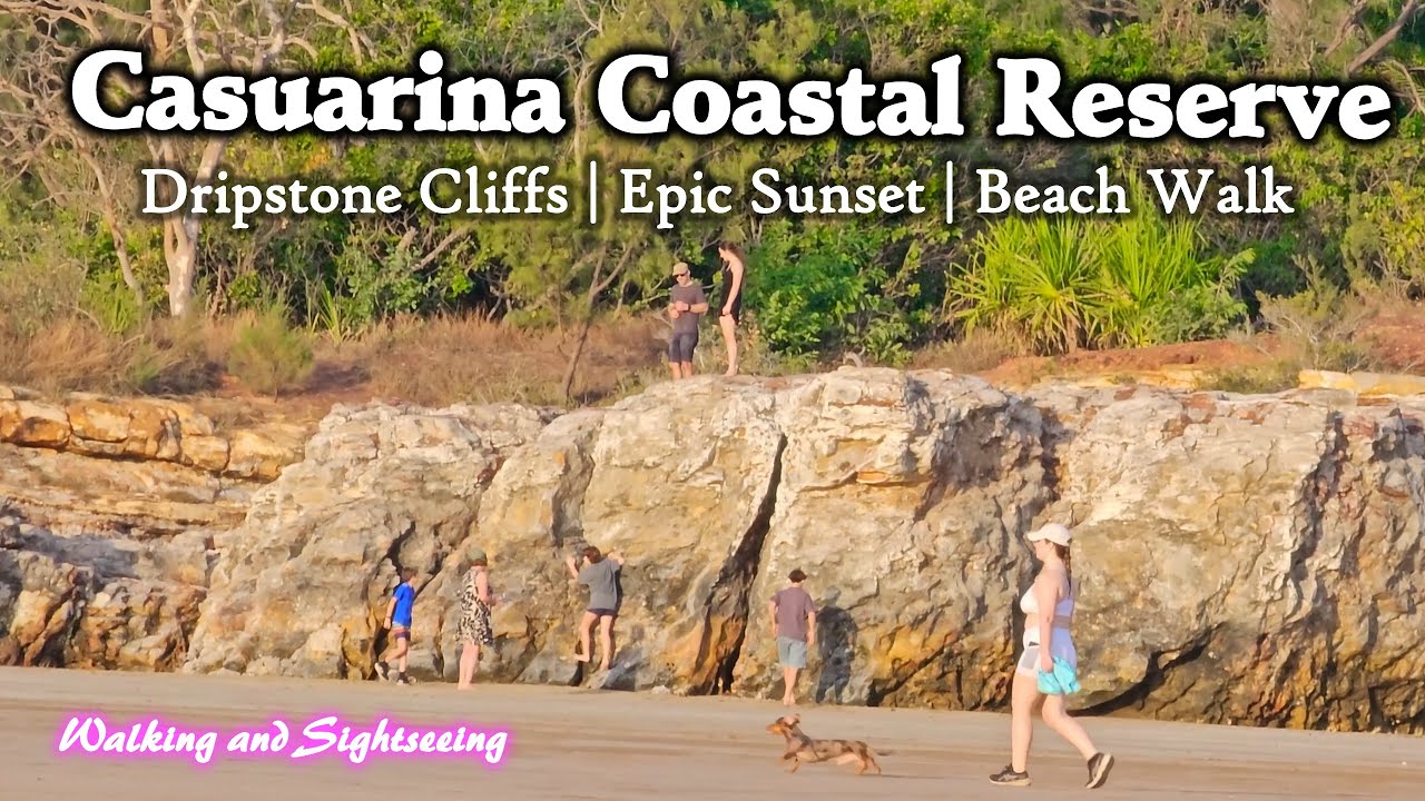 A calm nature walk with sea views, mangroves, and golden sand.