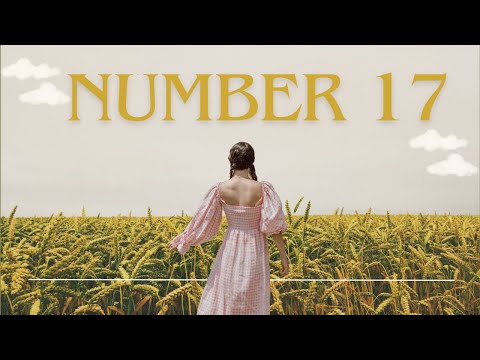 17號