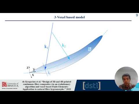 Design of 3D and 4D printed continuous fibre composite via an evolutionary algorithm, voxel-based FE