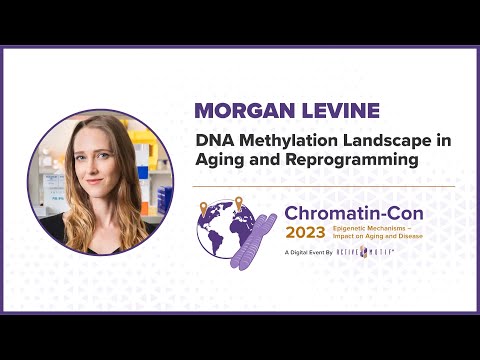 Chromatin-Con 2023 - Session 3 Interventions for Healthy Aging and Longevity - Dr. Morgan Levine