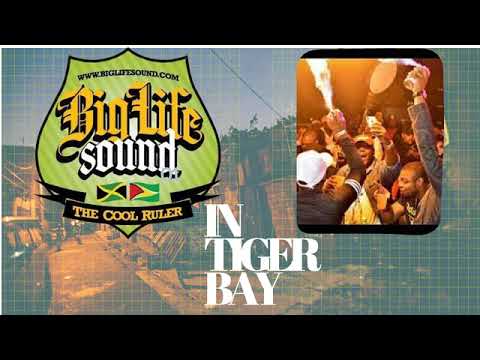 BIG LIFE IN TIGER BAY