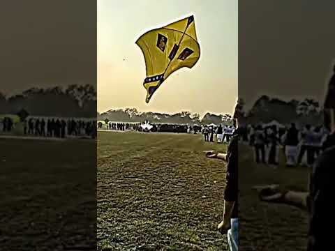 Guess Kinne Tawa ? Patang Lover Patang wali video #shorts #youtubeshorts #patang #bigkite #viral