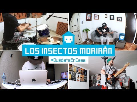 Los insectos morirán ( Versión #QuédateEnCasa​ )
