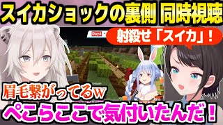 【ホロ金策サバイバル】大騒動のスイカショック切り抜きを同時視聴するスバルぼたん,事件の裏側に衝撃ｗ「BLEACHやってたからｗｗ」【ホロライブ 切り抜き/戌神ころね/獅白ぼたん/兎田ぺこら】