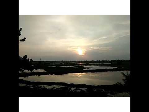 Credit:Me😂..#arpanasarmah#trendingno.1#nature#sun#evening