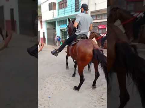 Arnulfo jurado en las fiestas patronales de sanlorenzo nariño