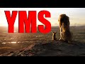 YMS: The Lion King (Part 1)