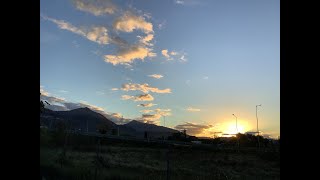 The Waterboys – In Search of a Rose