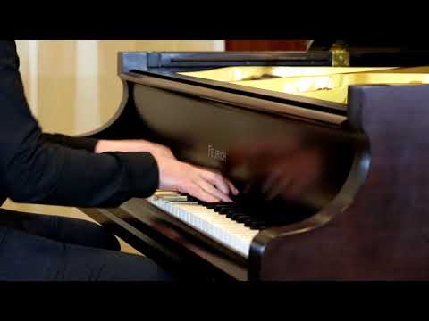 Donauwalzer/Blue Danube Waltz (Strauss/Schulz-Evler) - Andreas Stockinger