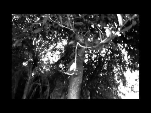 The Pierces - Secret