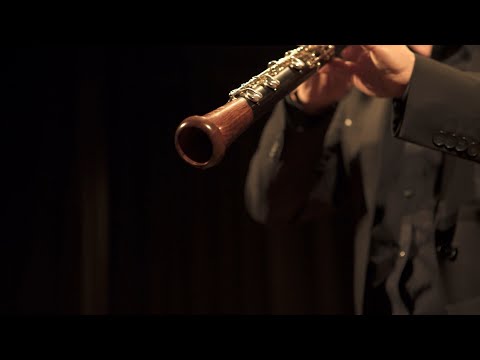 L'oboista - Francesco Di Rosa