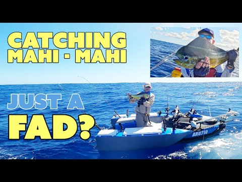 Catching Mahi Mahi- Is it just a FAD?