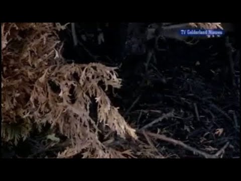 GLD Nieuws 11 september 2008 - Nieuws