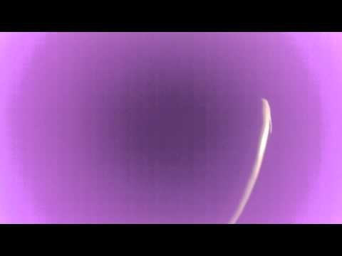 BRAINFIST @ TEMA CLUB , SOFIA [ BANGING TECHNO ] 28.03