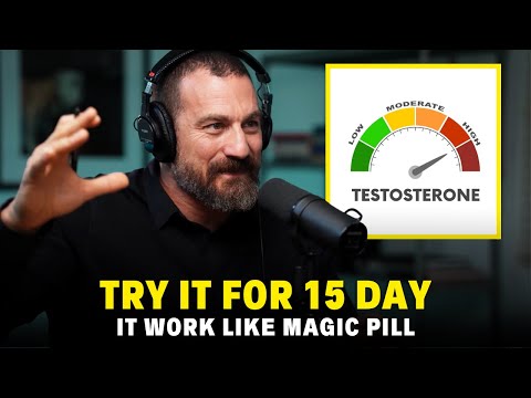 Neuroscientist: The Easiest Way To Increase TESTOSTERONE by 400% - Andrew Huberman