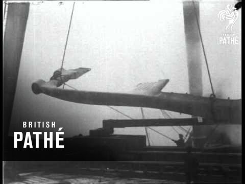 Record Railway Load (1925)