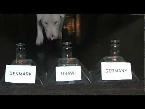 download lagu mp3 mp4 Germany Vs Denmark Prediction, download lagu Germany Vs Denmark Prediction gratis, unduh video klip Germany Vs Denmark Prediction