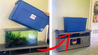 how to hide your fish tank from house inspection | Fish Tank Review 302