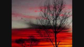 lettera da un cosmodromo messicano francesco de gregori