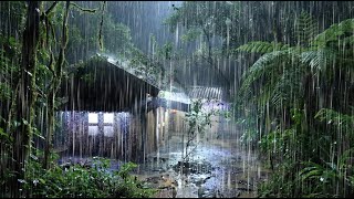 Dissolved In Deep Sleep With Violent Thunder And Heavy Rain Pouring On The Old Metal Roof