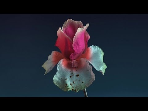 Flume - Tiny Cities feat. Beck - Lindstrøm & Prins Thomas Remix