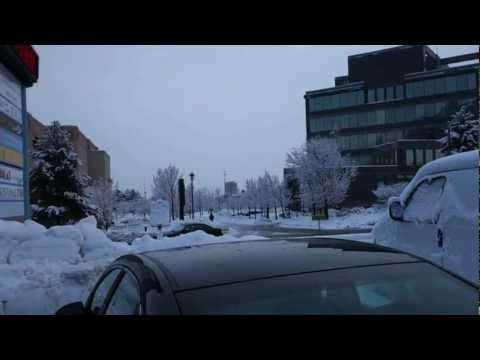 A snowy morning in Richmond Hill, Canada