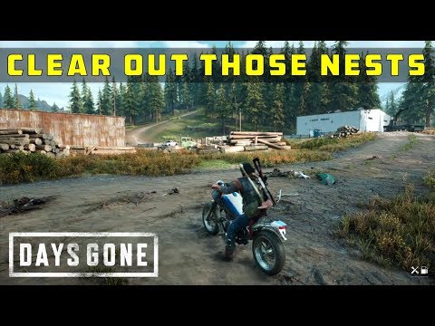 Clear the logging Camp Infestation Zone | Clear Out Those Nests | Days Gone