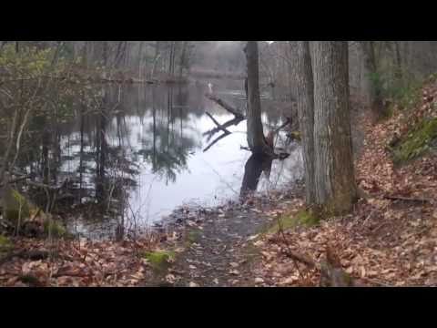 9 Reservoir Road, Wayland, MA