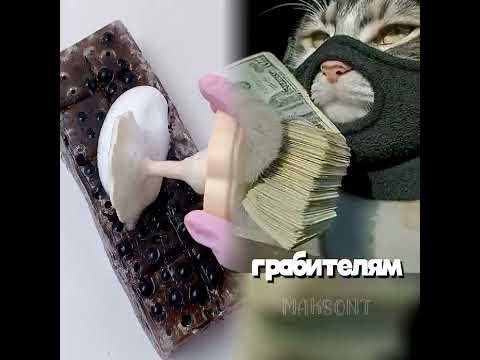 С какого этажа кошке реально грозит падение