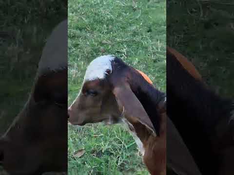 3206942650 Luís hato Rivera Mendoza Cartago Valle cauca llámanos