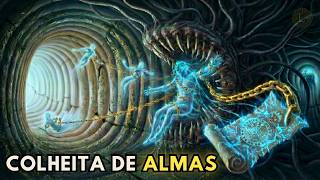 72h após a morte: O CONTRATO OCULTO da Colheita de Almas