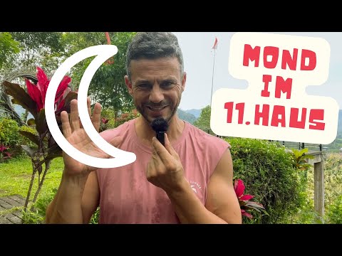 Mond im 11. Haus #astrologie #horoskop #sternzeichen