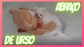 CACHORRINHA BIBI SE DIVERTE COM #URSO #FOFINHO