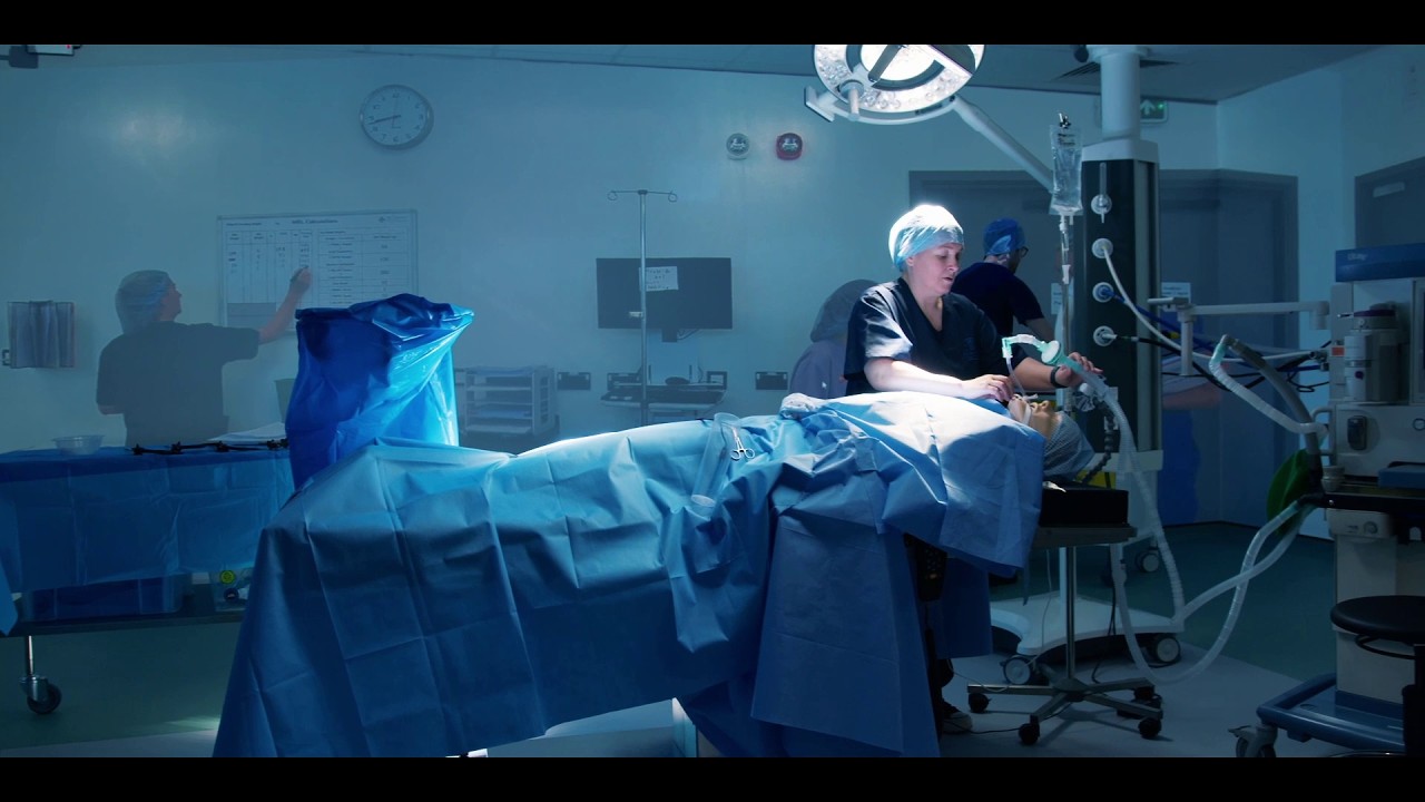 イマーシブ・インタラクティブ・スペースについて│日本スリービー・サイエンティフィック株式会社