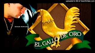 Valentín Elizalde - No Me De Su Copa (En Vivo Empalme Sonora Inédito)