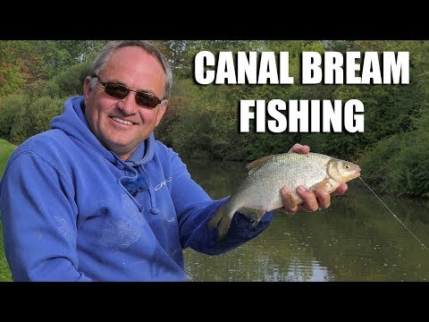 Canal Bream Fishing