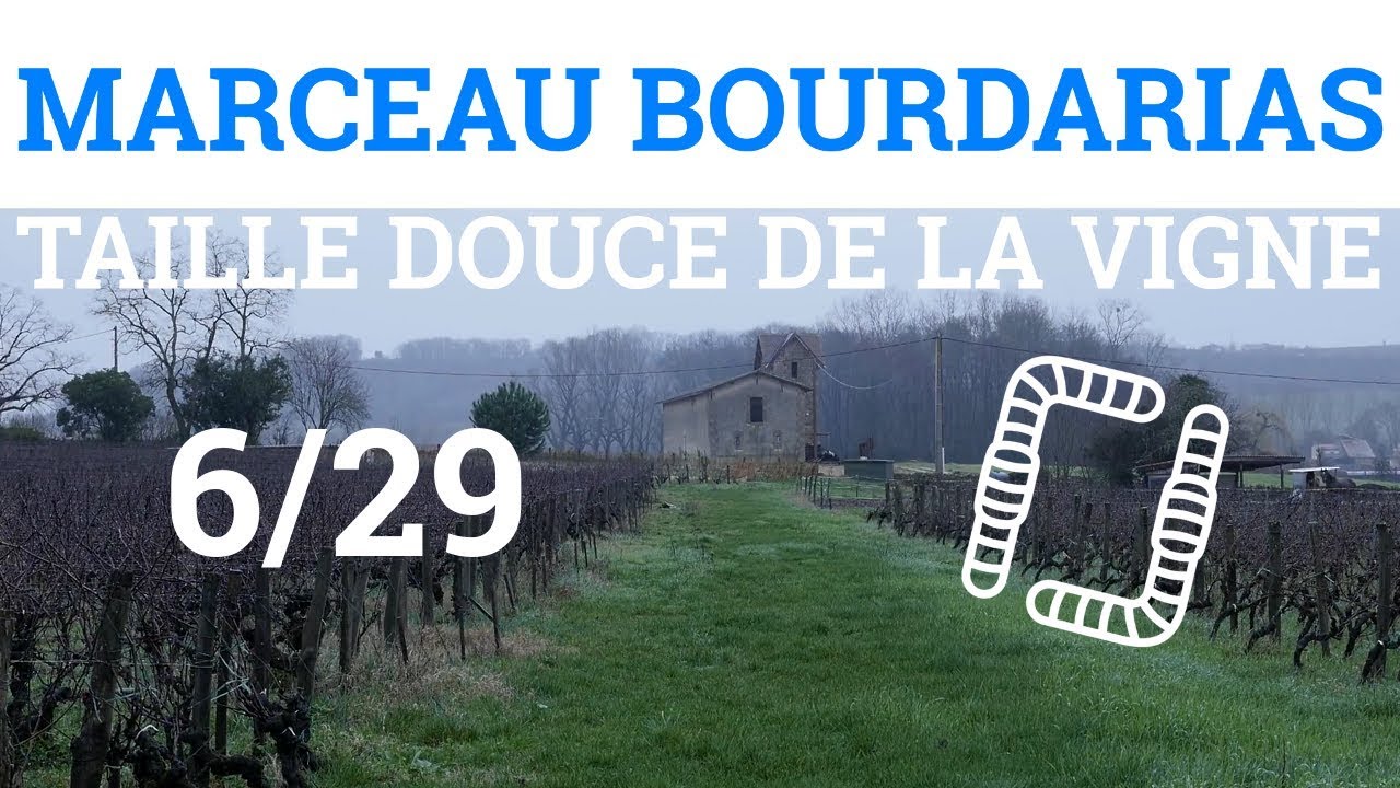 6/29 - M. BOURDARIAS - Taille Douce de la Vigne - Mélanisation/Compartimentation