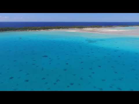 Pop- Hisser la voilure - Ricky Lopes